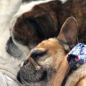 Hi I am Amy! Welcome to my closet!